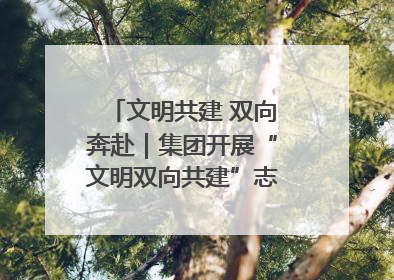 文明共建 双向奔赴｜集团开展“文明双向共建”志愿服务活动