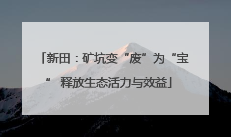 新田：矿坑变“废”为“宝” 释放生态活力与效益