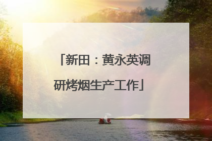 新田：黄永英调研烤烟生产工作