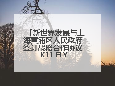 新世界发展与上海黄浦区人民政府签订战略合作协议 K11 ELYSEA璀璨启幕