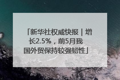 新华社权威快报｜增长2.5%，前5月我国外贸保持较强韧性