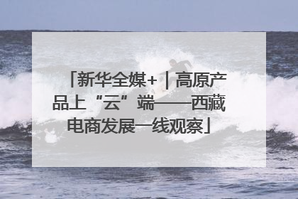 新华全媒+｜高原产品上“云”端——西藏电商发展一线观察