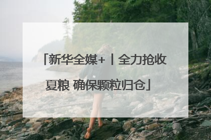 新华全媒+丨全力抢收夏粮 确保颗粒归仓