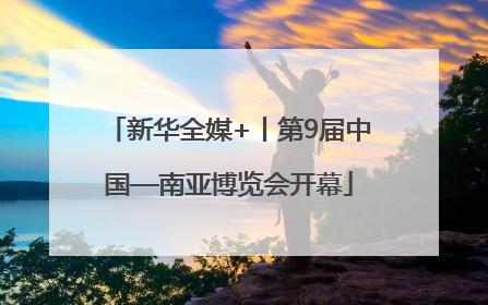 新华全媒+丨第9届中国—南亚博览会开幕