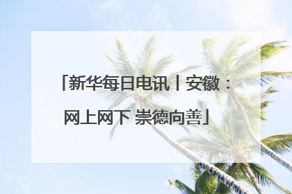 新华每日电讯丨安徽：网上网下 崇德向善