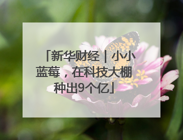 新华财经｜小小蓝莓，在科技大棚种出9个亿