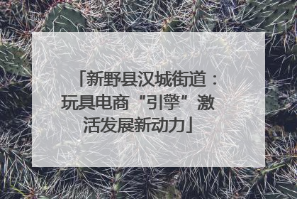 新野县汉城街道：玩具电商“引擎”激活发展新动力