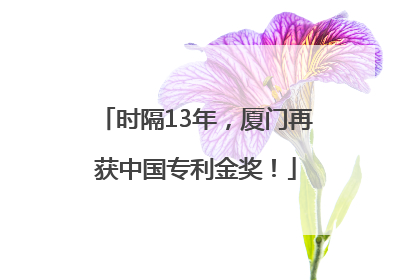 时隔13年，厦门再获中国专利金奖！