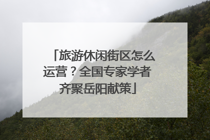 旅游休闲街区怎么运营？全国专家学者齐聚岳阳献策