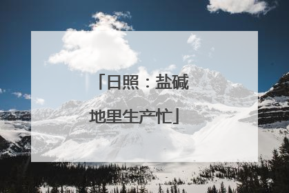 日照：盐碱地里生产忙
