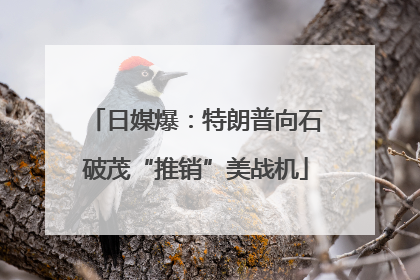 日媒爆：特朗普向石破茂“推销”美战机