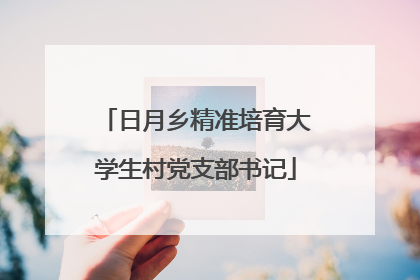 日月乡精准培育大学生村党支部书记