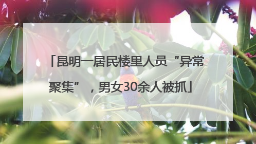 昆明一居民楼里人员“异常聚集”，男女30余人被抓