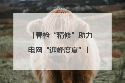 春检“精修”助力电网“迎峰度夏”