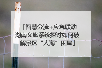 智慧分流+应急联动 湖南文旅系统探讨如何破解景区“人海”困局