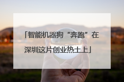 智能机器狗“奔跑”在深圳这片创业热土上