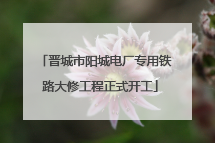 晋城市阳城电厂专用铁路大修工程正式开工