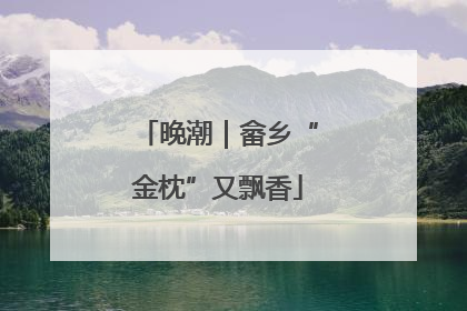 晚潮｜畲乡“金枕”又飘香