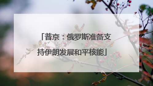 普京：俄罗斯准备支持伊朗发展和平核能
