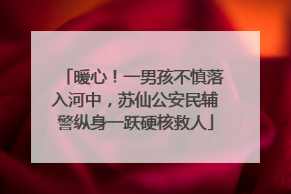 暖心！一男孩不慎落入河中，苏仙公安民辅警纵身一跃硬核救人