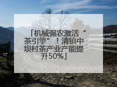 机械强农激活“茶引擎”！清镇中坝村茶产业产能提升50%