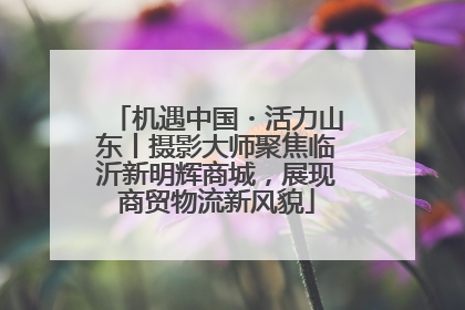 机遇中国・活力山东丨摄影大师聚焦临沂新明辉商城，展现商贸物流新风貌