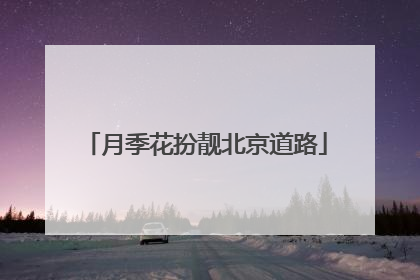 月季花扮靓北京道路