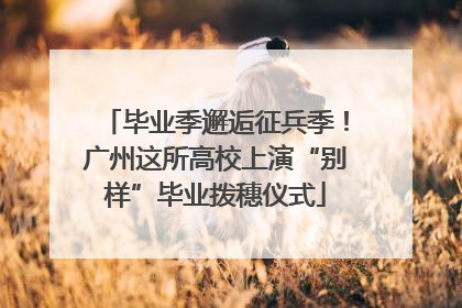毕业季邂逅征兵季！广州这所高校上演“别样”毕业拨穗仪式