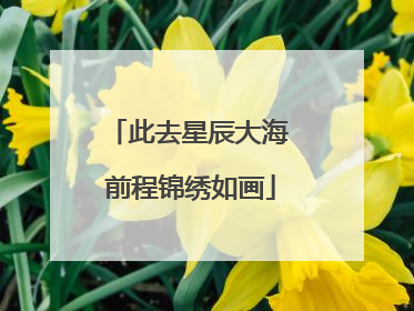此去星辰大海 前程锦绣如画