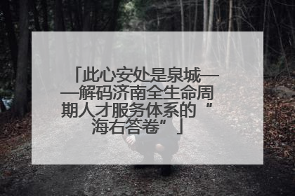 此心安处是泉城——解码济南全生命周期人才服务体系的“海右答卷”
