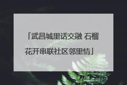 武昌城里话交融 石榴花开串联社区邻里情