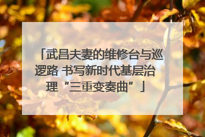 武昌夫妻的维修台与巡逻路 书写新时代基层治理“三重变奏曲”