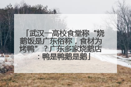 武汉一高校食堂称“烧鹅饭是广东俗称，食材为烤鸭”？广东多家烧鹅店：鸭是鸭鹅是鹅