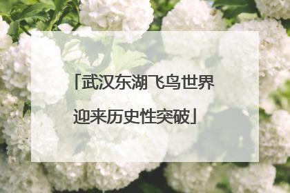 武汉东湖飞鸟世界迎来历史性突破