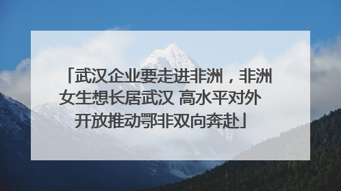 武汉企业要走进非洲，非洲女生想长居武汉 高水平对外开放推动鄂非双向奔赴