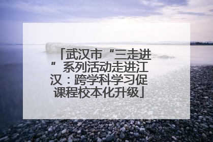 武汉市“三走进”系列活动走进江汉：跨学科学习促课程校本化升级