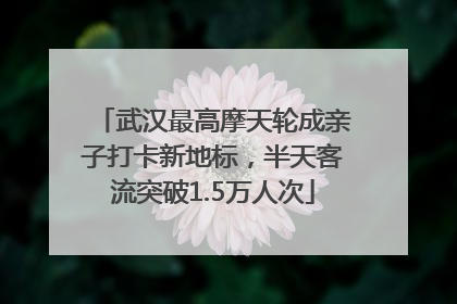 武汉最高摩天轮成亲子打卡新地标，半天客流突破1.5万人次