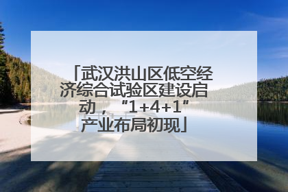 武汉洪山区低空经济综合试验区建设启动，“1+4+1”产业布局初现