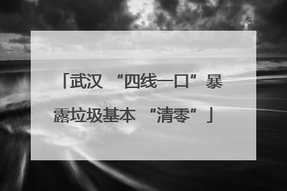 武汉 “四线一口”暴露垃圾基本 “清零”