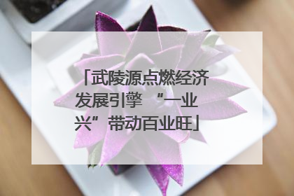 武陵源点燃经济发展引擎 “一业兴”带动百业旺