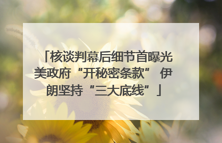 核谈判幕后细节首曝光 美政府“开秘密条款” 伊朗坚持“三大底线”