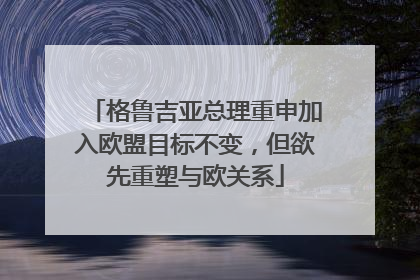 格鲁吉亚总理重申加入欧盟目标不变，但欲先重塑与欧关系