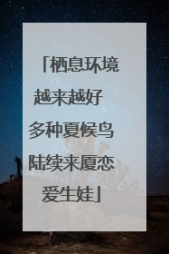栖息环境越来越好 多种夏候鸟陆续来厦恋爱生娃
