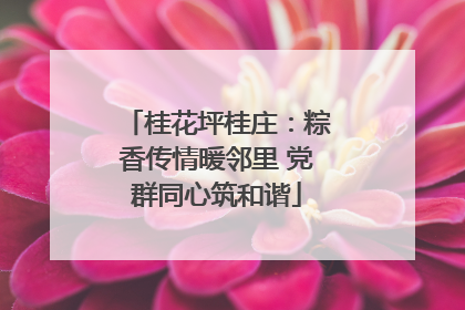 桂花坪桂庄：粽香传情暖邻里 党群同心筑和谐
