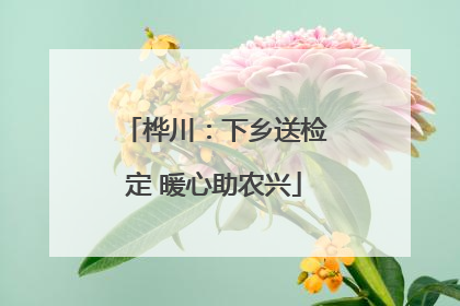 桦川：下乡送检定 暖心助农兴
