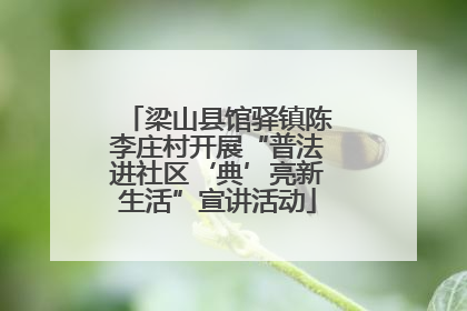 梁山县馆驿镇陈李庄村开展“普法进社区‘典’亮新生活”宣讲活动