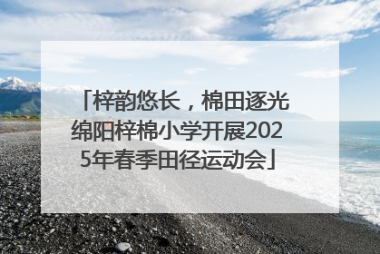 梓韵悠长，棉田逐光 绵阳梓棉小学开展2025年春季田径运动会
