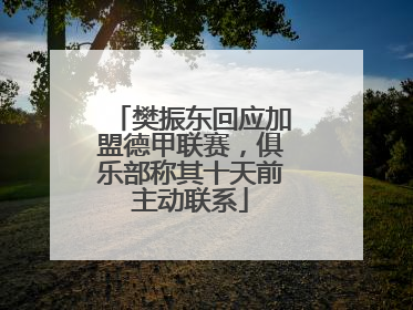 樊振东回应加盟德甲联赛，俱乐部称其十天前主动联系