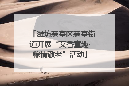 潍坊寒亭区寒亭街道开展“艾香童趣·粽情敬老”活动