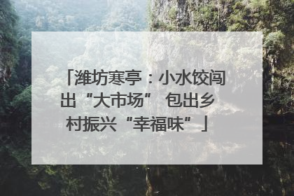 潍坊寒亭：小水饺闯出“大市场” 包出乡村振兴“幸福味”
